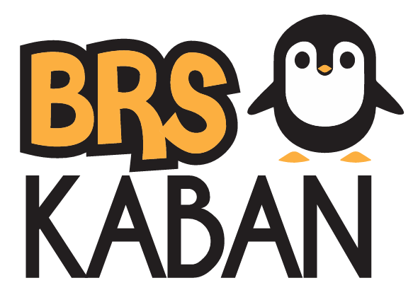 BRS KABAN TEKSTİL SANAYİ VE DIŞ TİCARET LTD. ŞTİ.